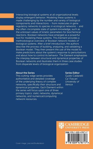 Produktbild: Boolean Networks as Predictive Models of Emergent Biological Behaviors