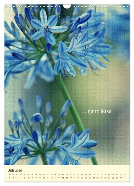 Produktbild: flowers (Wandkalender 2026 DIN A3 hoch), CALVENDO Monatskalender