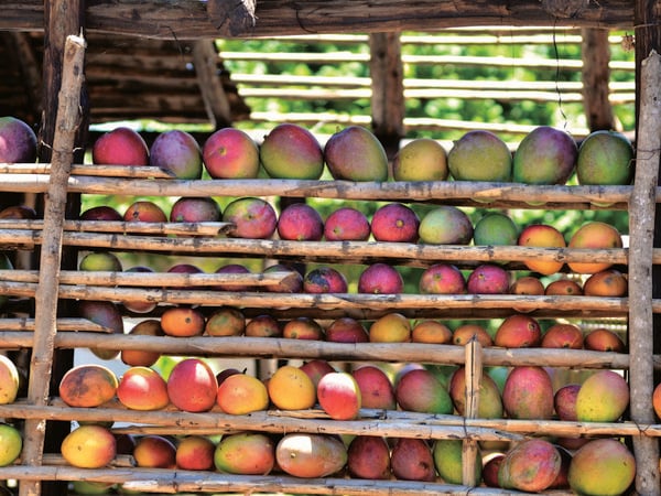 Produktbild: Cuba: The Cookbook