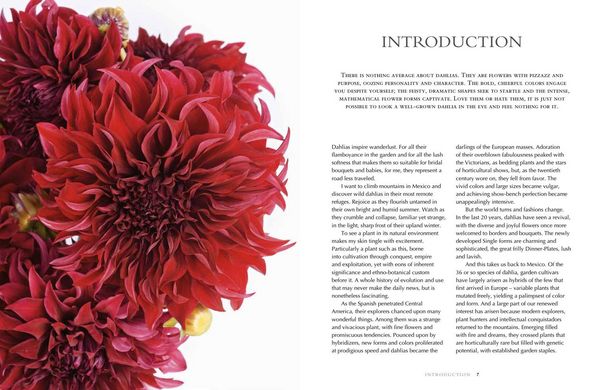 Produktbild: Lane, G: Dahlias