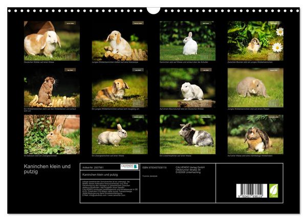 Produktbild: Kaninchen klein und putzig (Wandkalender 2026 DIN A3 quer), CALVENDO Monatskalender