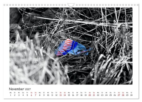 Produktbild: Gestrandet -Treibgut- (Wandkalender 2027 DIN A3 quer), CALVENDO Monatskalender
