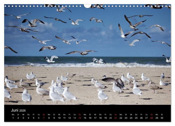 Produktbild: Frankreich Normandie (Wandkalender 2026 DIN A3 quer), CALVENDO Monatskalender
