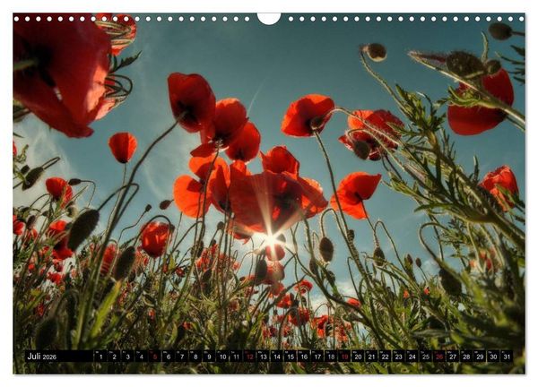 Produktbild: Lichtstimmungen Th&uuml;ringen - Eine Reise von Morgens bis Abends (Wandkalender 2026 DIN A3 quer), CALVENDO Monatskalender