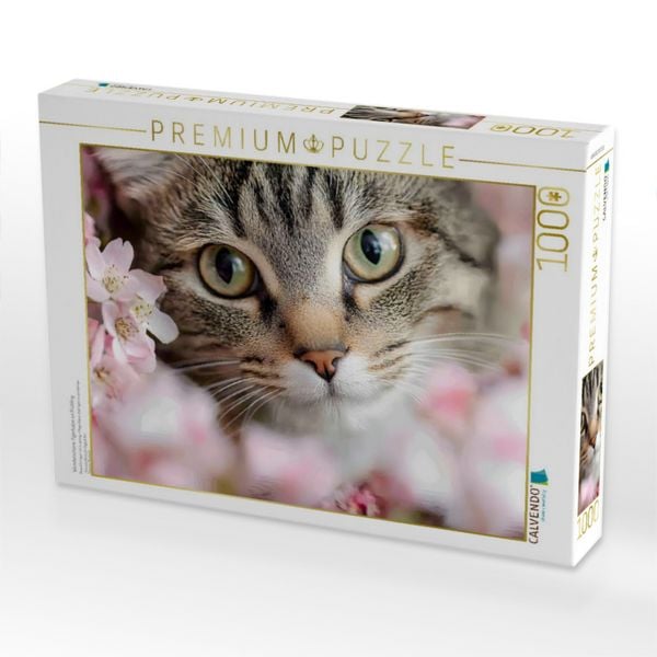 Produktbild: CALVENDO Puzzle Wundersch&ouml;ne Tigerkatze im Fr&uuml;hling | 1000 Teile Lege-Gr&ouml;&szlig;e 64x48cm Foto-Puzzle f&uuml;r gl&uuml;ckliche Stunden