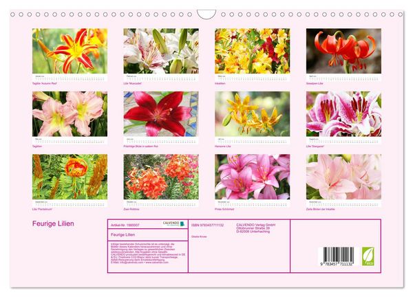 Produktbild: Feurige Lilien (Wandkalender 2026 DIN A3 quer), CALVENDO Monatskalender