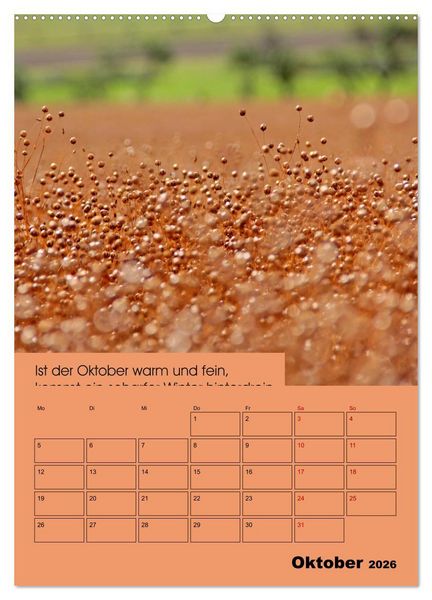 Produktbild: Wetter-Regeln der Bauern (hochwertiger Premium Wandkalender 2026 DIN A2 hoch), Kunstdruck in Hochglanz