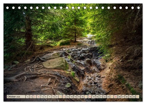 Produktbild: Deutschland - Nationalparks (Tischkalender 2026 DIN A5 quer), CALVENDO Monatskalender