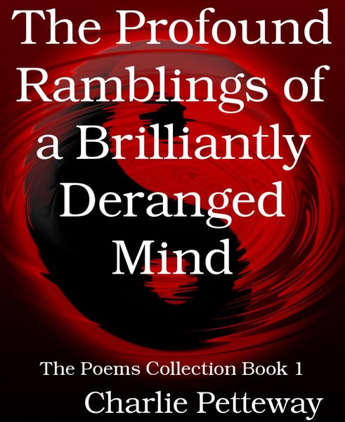 Produktbild: The Profound Ramblings of a Brilliantly Deranged Mind