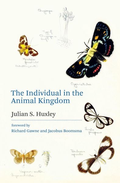 Produktbild: The Individual in the Animal Kingdom
