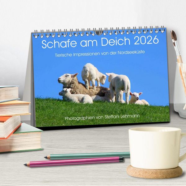 Produktbild: Schafe am Deich 2026. Tierische Impressionen von der Nordseek&uuml;ste (Tischkalender 2026 DIN A5 quer), CALVENDO Monatskalender
