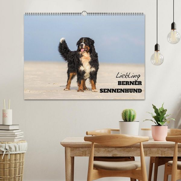 Produktbild: Liebling BERNER SENNENHUND (Wandkalender 2026 DIN A2 quer), CALVENDO Monatskalender