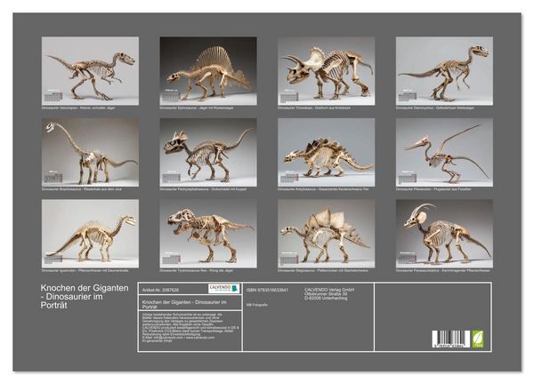 Produktbild: Knochen der Giganten - Dinosaurier im Portr&auml;t (Wandkalender 2026 DIN A2 quer), CALVENDO Monatskalender