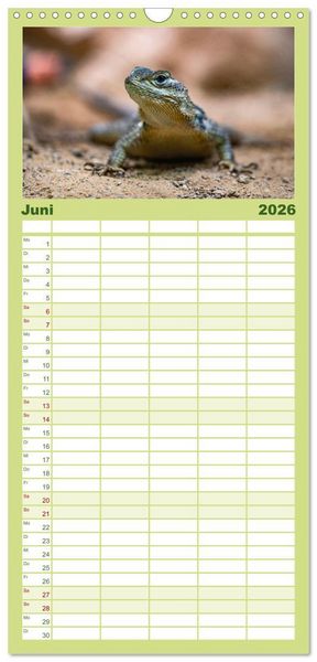 Produktbild: Familienplaner 2026 - Reptilien & Amphibien Portraits mit 5 Spalten (Wandkalender, 21 x 45 cm) CALVENDO