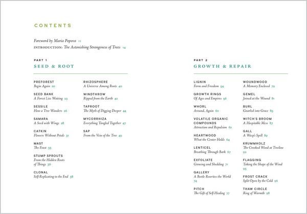 Produktbild: A Forest Language