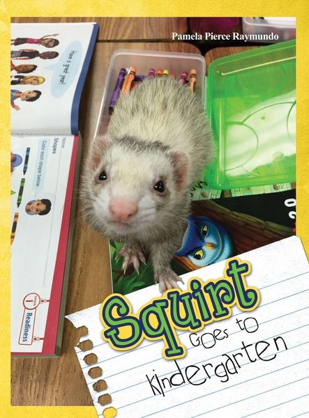 Produktbild: Squirt Goes to Kindergarten