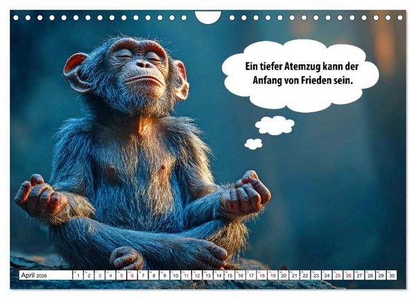 Produktbild: Stille Pfoten, weise Worte - Tiere zeigen dir den Weg zu mehr Gelassenheit (Wandkalender 2026 DIN A4 quer), CALVENDO Monatskalender