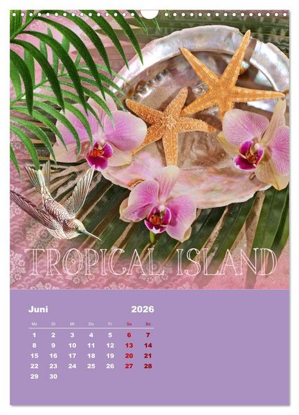Produktbild: Geschenke vom Meer (Wandkalender 2026 DIN A3 hoch), CALVENDO Monatskalender