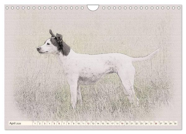 Produktbild: Bodeguero Andaluz 2026 (Wandkalender 2026 DIN A4 quer), CALVENDO Monatskalender
