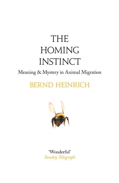 Produktbild: The Homing Instinct