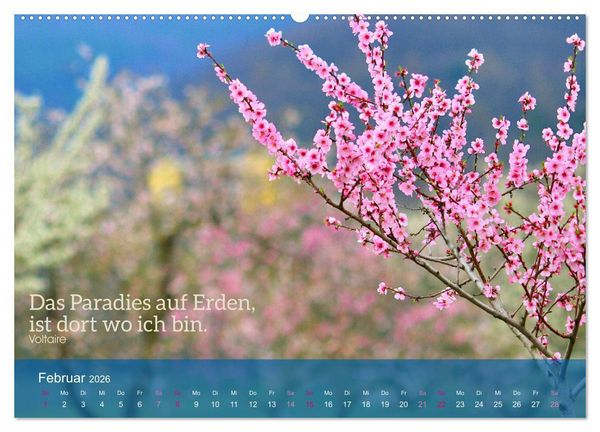 Produktbild: FASZINATION MANDELBL&Uuml;TE (hochwertiger Premium Wandkalender 2026 DIN A2 quer), Kunstdruck in Hochglanz