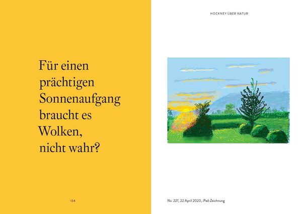 Produktbild: David Hockney und wie er die Welt sieht