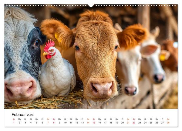 Produktbild: H&uuml;hner - gefiedert durchs Jahr (hochwertiger Premium Wandkalender 2026 DIN A2 quer), Kunstdruck in Hochglanz