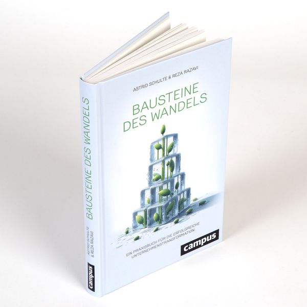 Produktbild: Bausteine des Wandels