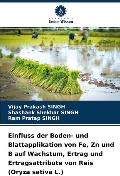 Produktbild: Einfluss der Boden- und Blattapplikation von Fe, Zn und B auf Wachstum, Ertrag und Ertragsattribute von Reis (Oryza sativa L.)