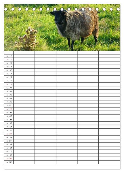 Produktbild: Bauernhoftiere Familienplaner (Tischkalender 2026 DIN A5 hoch), CALVENDO Monatskalender