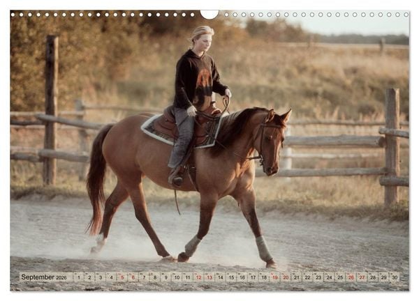 Produktbild: Quarter Horses - Die gr&ouml;&szlig;te Zuchtbuchrasse der Welt (Wandkalender 2026 DIN A3 quer), CALVENDO Monatskalender