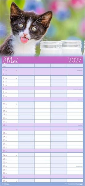 Produktbild: Cool Cats Familienplaner 2027