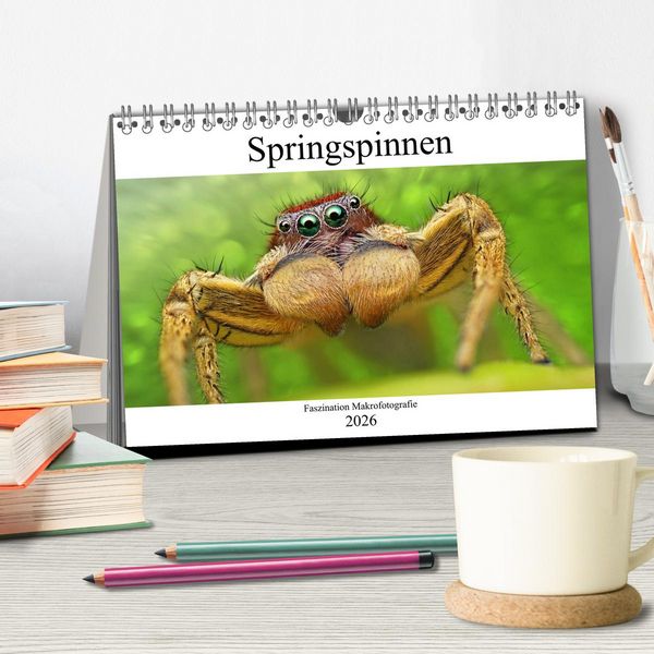 Produktbild: Faszination Makrofotografie: Springspinnen (Tischkalender 2026 DIN A5 quer), CALVENDO Monatskalender