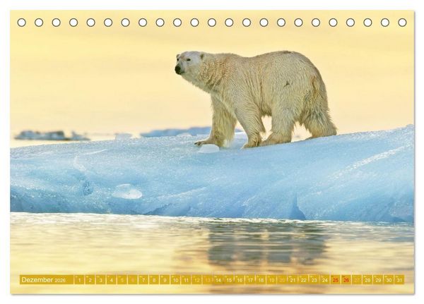Produktbild: Farben und Muster der Erde (Tischkalender 2026 DIN A5 quer), CALVENDO Monatskalender