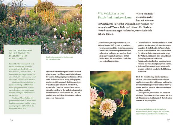 Produktbild: Bl&uuml;tenreich &ndash; Schnittblumen mit Herz und Hand vermehren