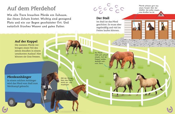 Produktbild: Pferde und Ponys