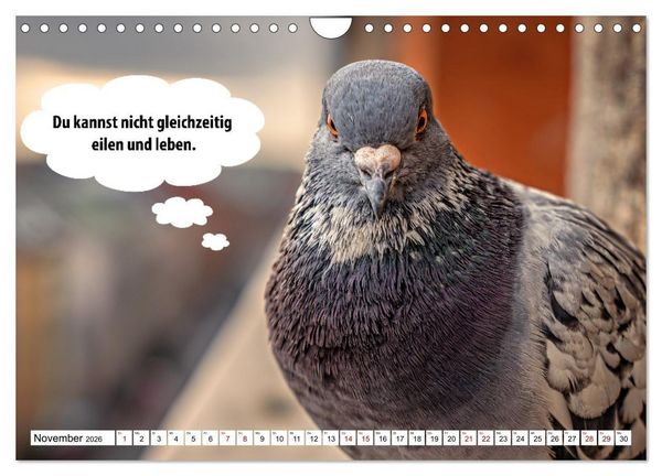 Produktbild: Stille Pfoten, weise Worte - Tiere zeigen dir den Weg zu mehr Gelassenheit (Wandkalender 2026 DIN A4 quer), CALVENDO Monatskalender