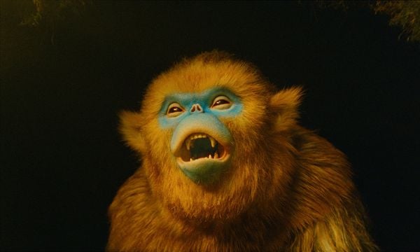 Produktbild: Die Legende von Ochi - Mediabook (4K-UHD + Blu-ray)
