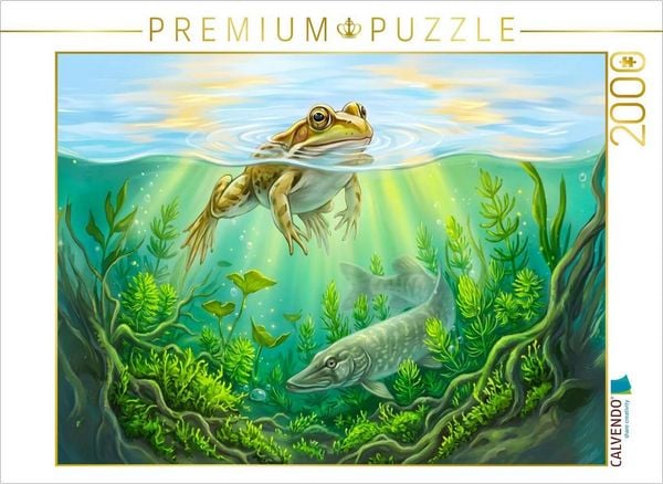 CALVENDO Puzzle Frosch schwimmt im klaren Teich während ein lauernder Hecht wartet | 2000 Teile Lege-Größe 90 × 67 cm Foto-Puzzle für glückliche Stunden