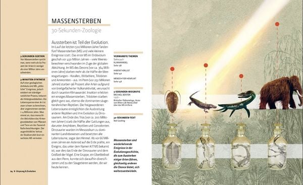 Produktbild: Zoologie in 30 Sekunden