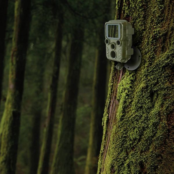 Produktbild: Braun Phototechnik Black 800 Mini Wildkamera 20 Megapixel Zeitrafferfunktion, Tonaufzeichnung Camouflage