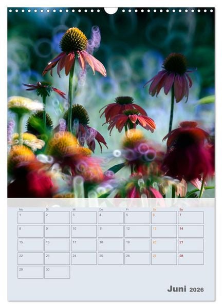 Produktbild: Magie im Garten (Wandkalender 2026 DIN A3 hoch), CALVENDO Monatskalender