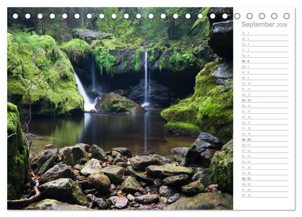 Produktbild: Im Deutschen Wald 2026 - ein Notizkalender (Tischkalender 2026 DIN A5 quer), CALVENDO Monatskalender