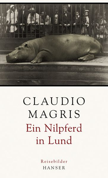 Ein Nilpferd in Lund, Gebundene Ausgabe von Claudio Magris, Carl Hanser, 9783446230866