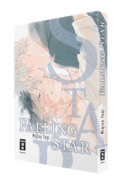 Produktbild: Falling Star