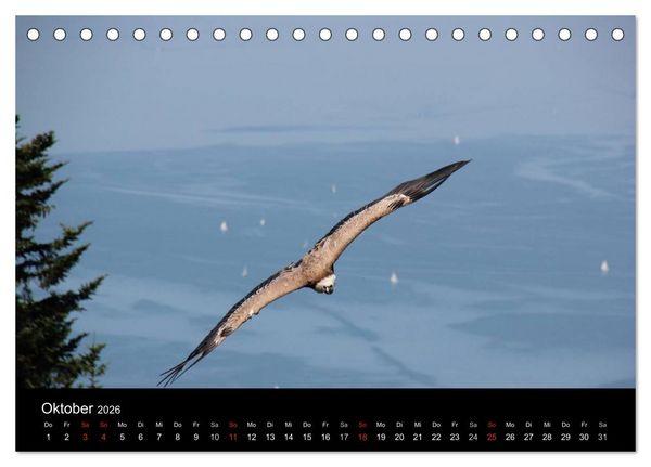 Produktbild: Faszination Bodensee (Tischkalender 2026 DIN A5 quer), CALVENDO Monatskalender