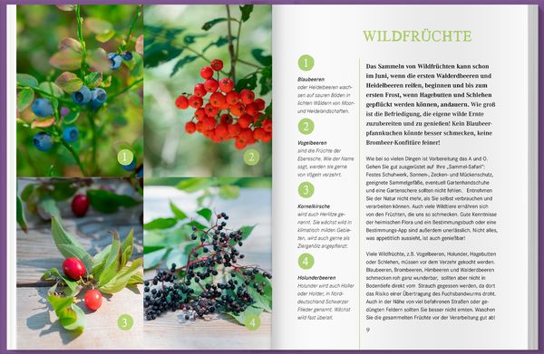 Produktbild: Ernte an Wegen, Wiesen und W&auml;ldern