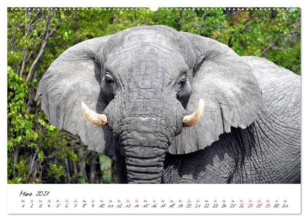 Produktbild: Namibia - Magie der Weite (Wandkalender 2027 DIN A2 quer), CALVENDO Monatskalender
