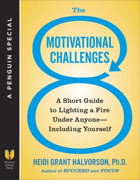 Produktbild: The 8 Motivational Challenges