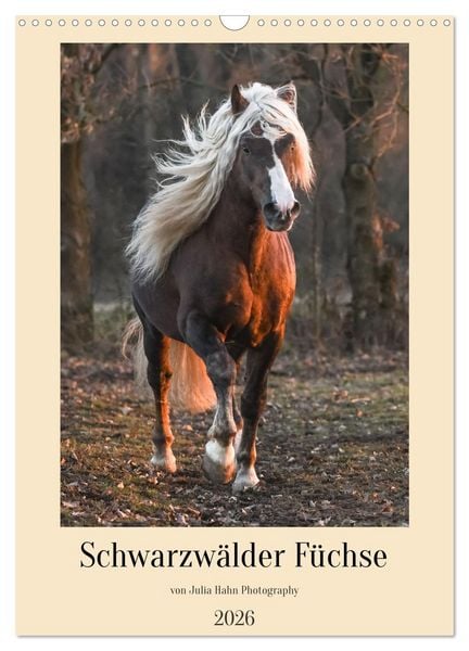 Schwarzwälder Füchse von Julia Hahn Photography (Wandkalender 2026 DIN A3 hoch), CALVENDO Monatskalender